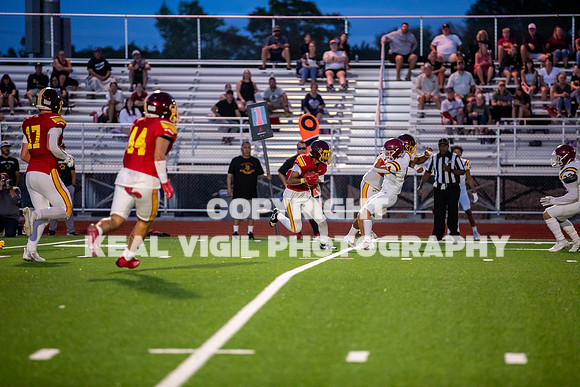 NGHSFB-7497