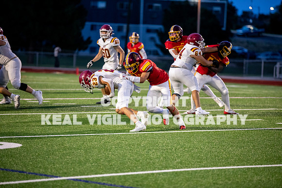 NGHSFB-7478