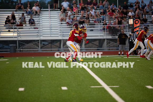 NGHSFB-7456