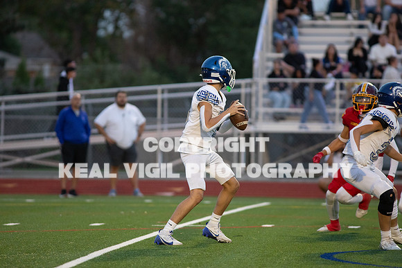 NGHSFB-597