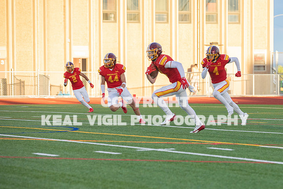 NGHSFB-7273
