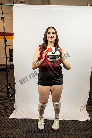 NGVB-BANNER-2861