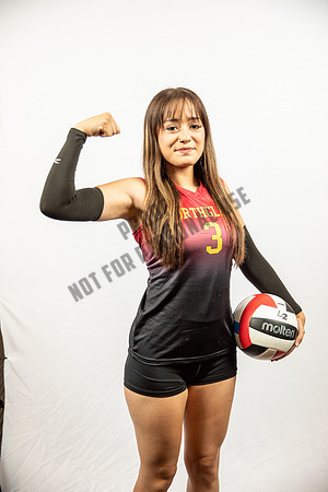 NGVB-BANNER-2874