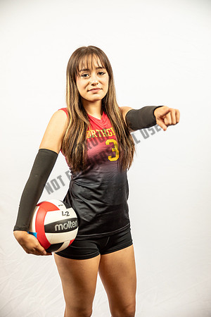 NGVB-BANNER-2882
