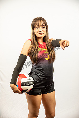 NGVB-BANNER-2887