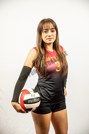 NGVB-BANNER-2890