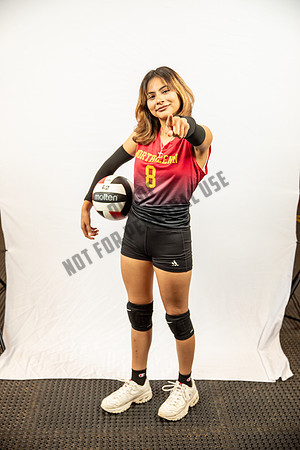 NGVB-BANNER-2898