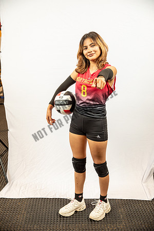 NGVB-BANNER-2899