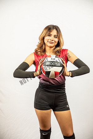 NGVB-BANNER-2903