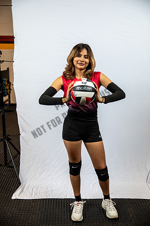 NGVB-BANNER-2902