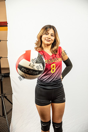 NGVB-BANNER-2906