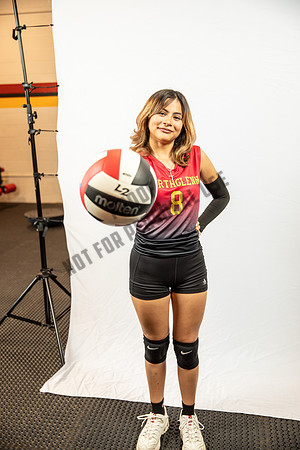 NGVB-BANNER-2908