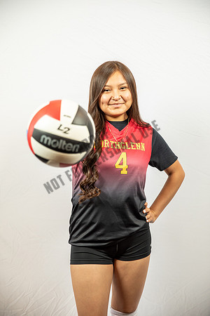 NGVB-BANNER-2911