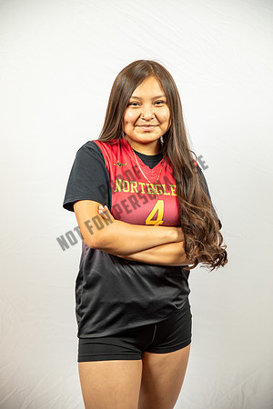 NGVB-BANNER-2922