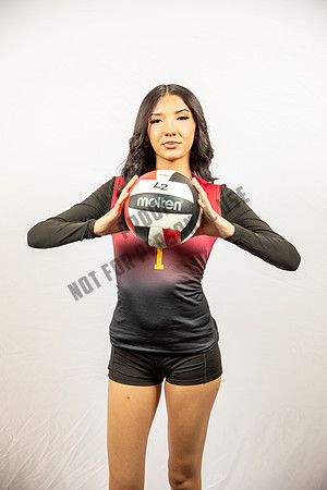 NGVB-BANNER-2934