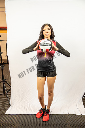 NGVB-BANNER-2935