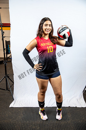 NGVB-BANNER-2945
