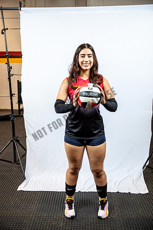 NGVB-BANNER-2948