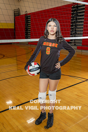 NGVB25-20251022-611