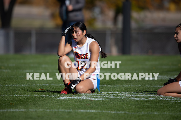NGFFB-20251018-481