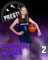 2 - Harlow