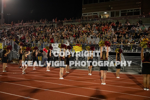 NGHSFB-941