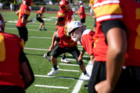 NG_PV_FB_-20260820-849