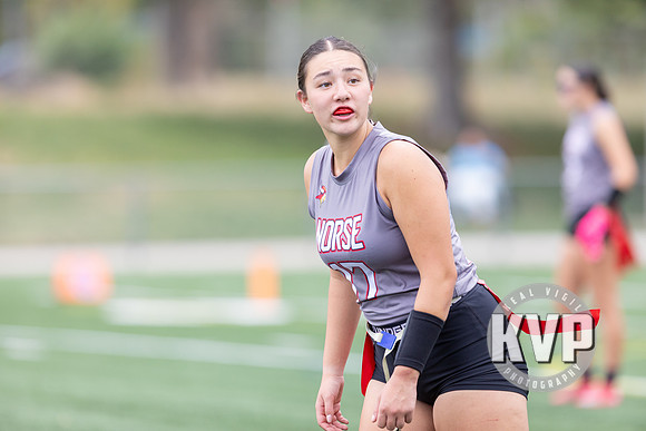 NGHS_FFB-20260824-310