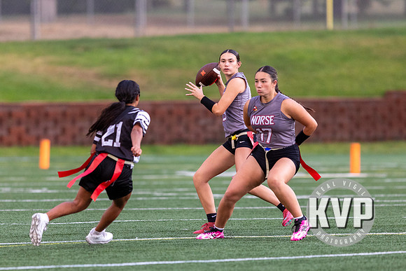 NGHS_FFB-20260824-402