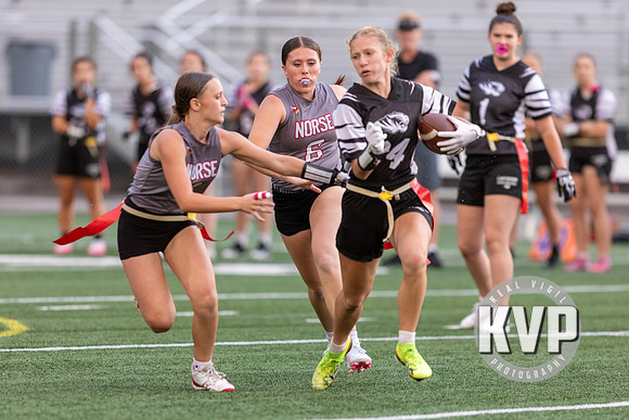 NGHS_FFB-20260824-409