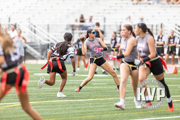 NGHS_FFB-20260824-485