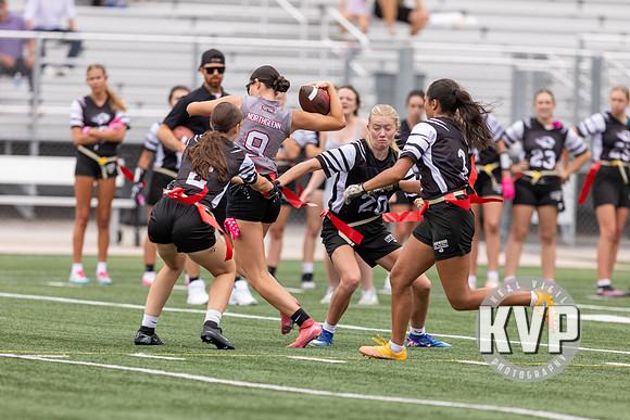 NGHS_FFB-20260824-873