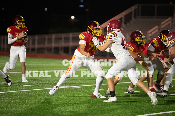 NGHSFB-7642-2