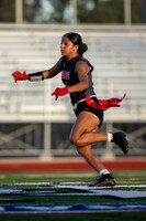 NGSH_FFB-20260909-220