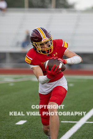 NGHSFB-479