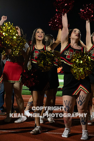 NGHSFB-960
