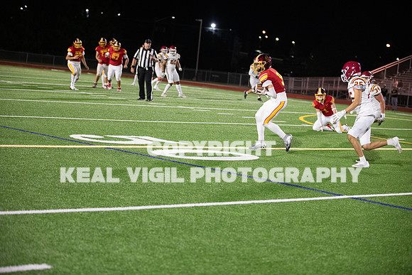 NGHSFB-7748-2