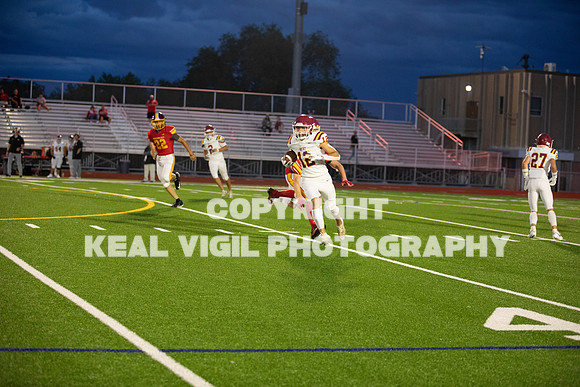NGHSFB-7528