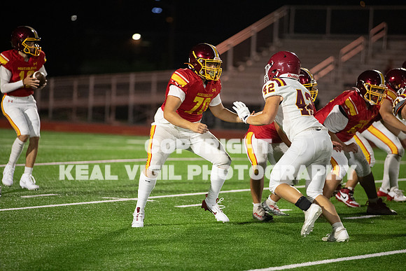 NGHSFB-7641-2