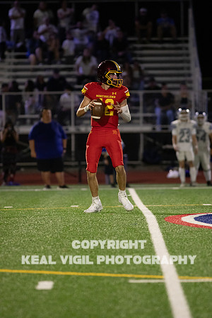 NGHSFB-729