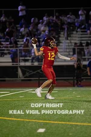 NGHSFB-733