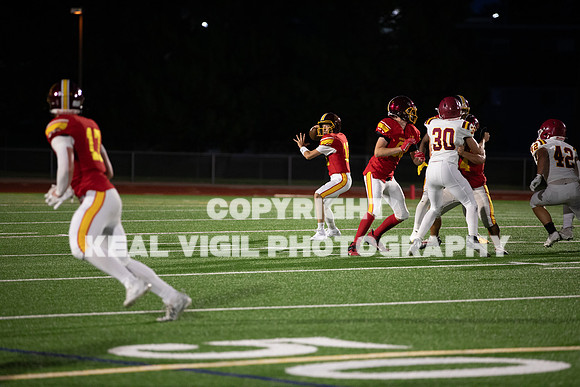 NGHSFB-7587-2