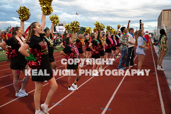NGHSFB-7725-3