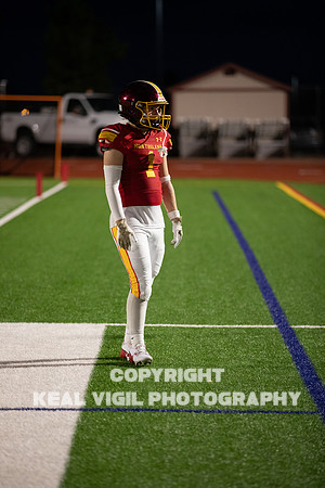 NGHSFB-7601-2