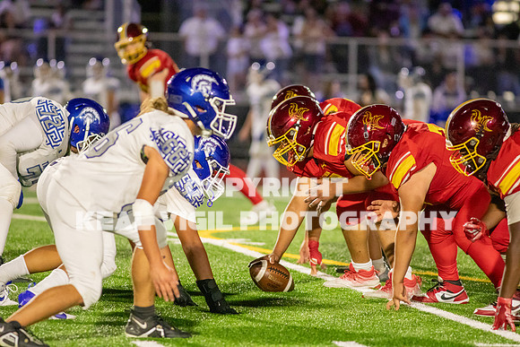 NGHSFB-991