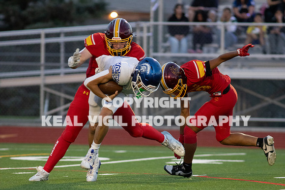 NGHSFB-588