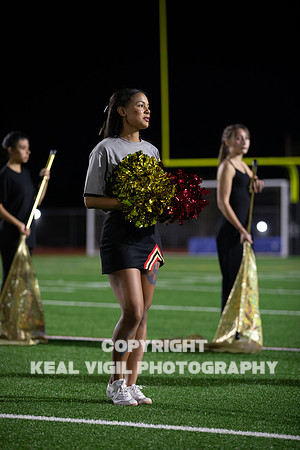 NGHSFB-337