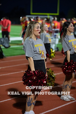 NGHSFB-196