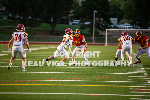 NGHSFB-7397