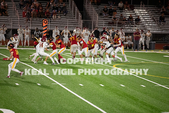 NGHSFB-7859-2
